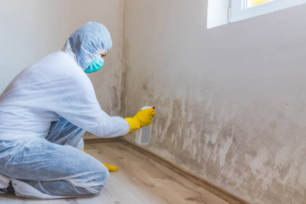 Hvac And Air Duct Mold Remediation inspection of HVAC system in Granville