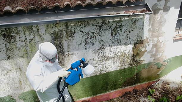 Mold Removal service in Granville